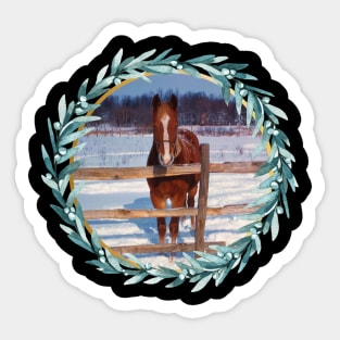 Horse Photo in Christmas Wreath Sticker